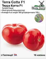 Томат Терра Котта F1 10 нас. Beste Kern (Syngenta)