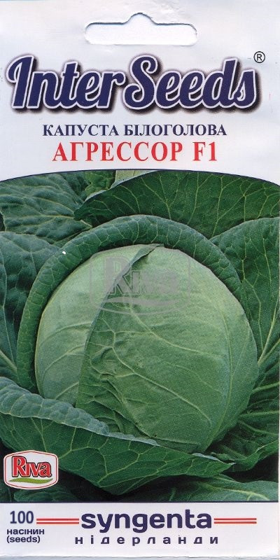 БП Насіння Капуста Агрессор F1, 100 шт, Syngenta Seeds B.V., Нідерланди