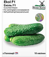 Огурец Эколь F1 10 нас. Beste Kern (Syngenta)