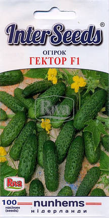Насіння Огірок Наташа F1 100шт, Seminis, Нідерланди, фото 1