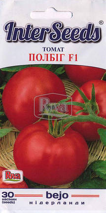 Насіння томат ПОЛБІГ F1, 30шт, Bejo Zaden B.V., Нідерланди, фото 1