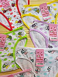 Трусики "Good Baby" для дівчаток 3/9 років; Гурт. Китай, фото 2