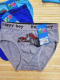 Труси-плавки "HAPPY BOY" для хлопчиків 2/8 років; Гурт, фото 2