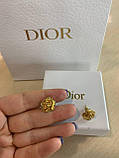 Діор сережки в подарунковому брендовому пакованні, фото 3