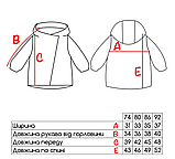 Куртка дитяча DoRechi водонепроникна плащівка Комікс зріст 74 см (6-9 місяців) Синій+Зелений, фото 10