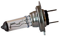 Лампа галогенная H7 24 В 100 Вт PX26D Tes-Lamps
