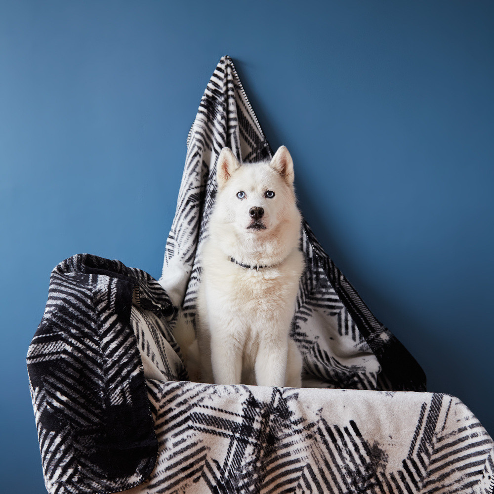 Плед покривало Kassandra євро 200x220 см IDEIA см чорний бавовна натуральне, фото 1