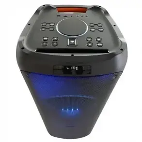 Колонка Temeisheng FG212-09 bluetooth колонка 12", 600W, фото 2