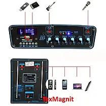 Колонка акумуляторна Temeisheng SL12-01 USB, Bluetooth, 2 мікрофони, фото 3