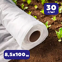 Агроволокно от заморозков 30г/м² белое 8,5х100 в рулоне Shadow спанбонд зимне-весеннее для утепления растений