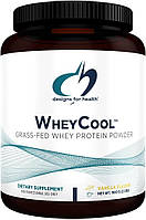 Designs for Health WheyCool Vanilla / Сывороточный протеин со вкусом ванили 900 грамм