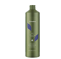 Шампунь против желтизны, для седых и осветленных волос Echosline S6 Anti-Yellow Shampoo 1000ml No Yellow Sham