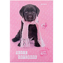 Зошит для нот А4 20 аркушів Kite Studio Pets SP24-404, 67023