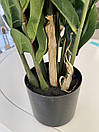 Заміокулькас штучний в горщику 90 см, фото 4