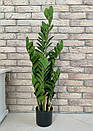 Заміокулькас штучний в горщику 90 см, фото 2