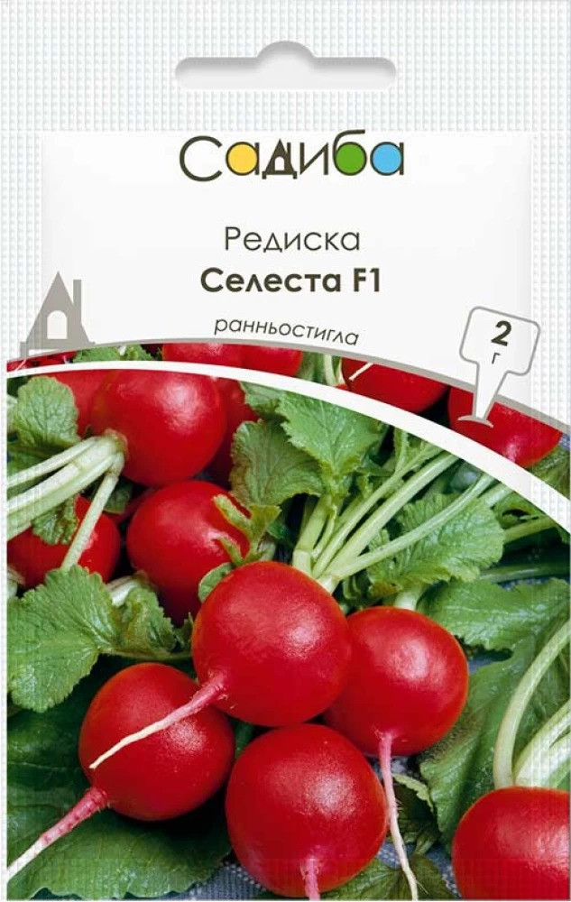 Насіння редиски Селеста F1, 2 г, Садиба