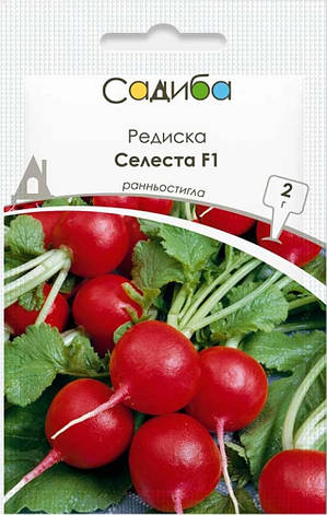 Насіння редиски Селеста F1, 2 г, Садиба, фото 1