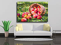 Картина на холсте "Красные яблоки в траве и плетеной корзине " 100х70