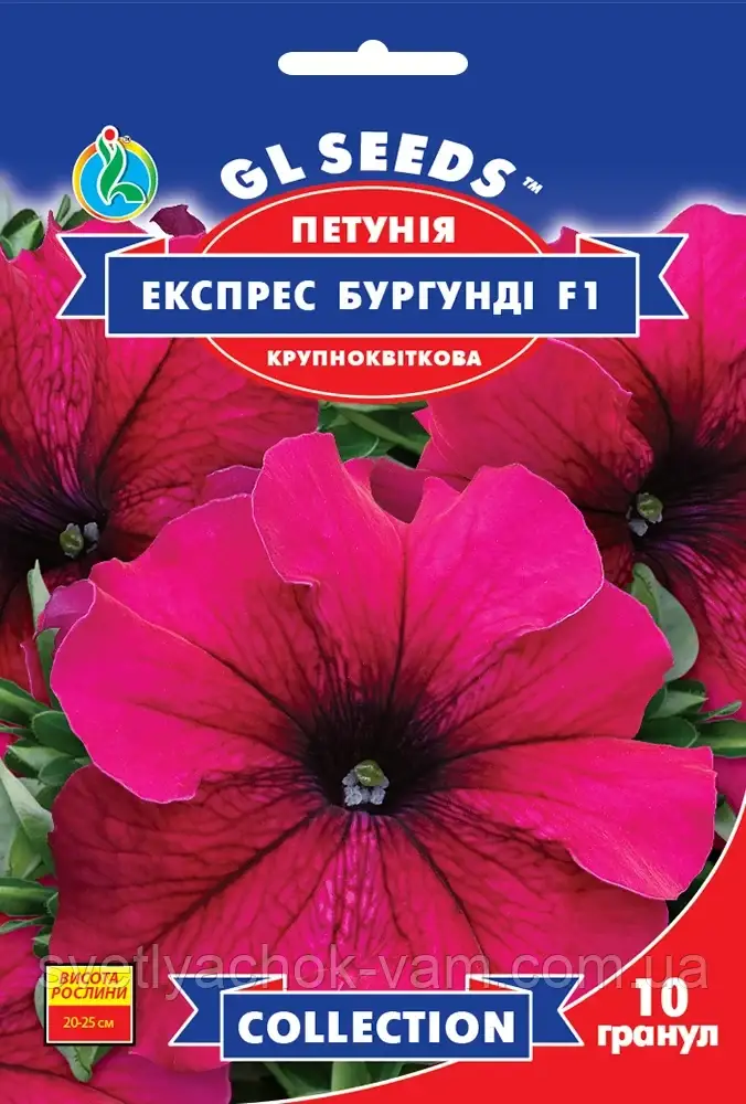 Петунія Експрес Бургунді F1 великобарвна компактна з раннім і рясним цвітінням, паковання 10 гранул