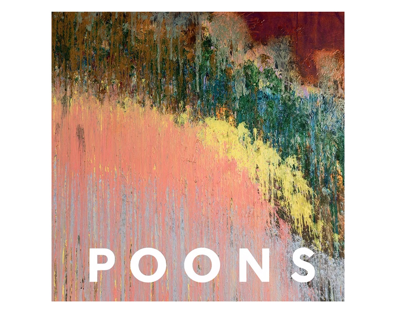 Книга Ларі Пунс з роботами художника Larry Poons. David Anfam живопис книги для художників, фото 1