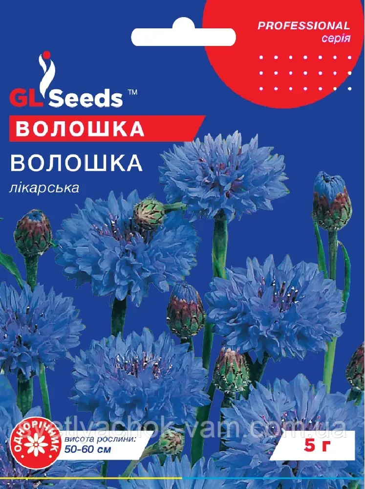 Волошка холодостійка рослина з махровими квітками блакитного забарвлення, упаковка 5 г