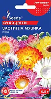 Сухоцветы Застывшая Музыка смесь популярных и неприхотливых сухоцветов для зимних букетов, упаковка 0,5 г