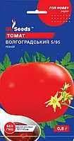 Томат Волгоградский поздний компактный вкусный сорт транспортабельный универсальный, упаковка 0,5 г