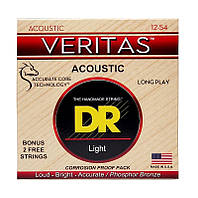 Струни для акустичної гітари DR STRINGS VERITAS COATED CORE ACOUSTIC GUITAR STRINGS - LIGHT (12-54)