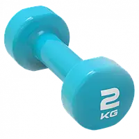 Гантель винил STUDIO DUMBBELL голубой 2 кг (LP8076-2)