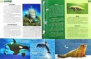 Енциклопедія необхідних знань школяра, фото 8