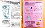 Енциклопедія необхідних знань школяра, фото 9