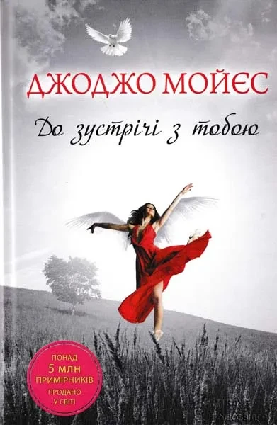 До зустрічі з тобою (роман)