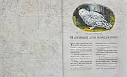 Гаррі Поттер і таємна кімната. Книга 2. Ілюстрована, фото 4