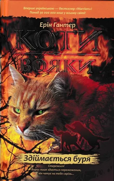 Коти-вояки. Здіймається буря. Пророцтва починаються. Книга 4, фото 1