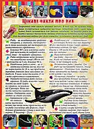 Велика енциклопедія про тварин. Дивовижні факти (Велика енциклопедія), фото 3