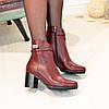 Ботинки женские кожаные на устойчивом каблуке. Цвет бордовый, фото 4
