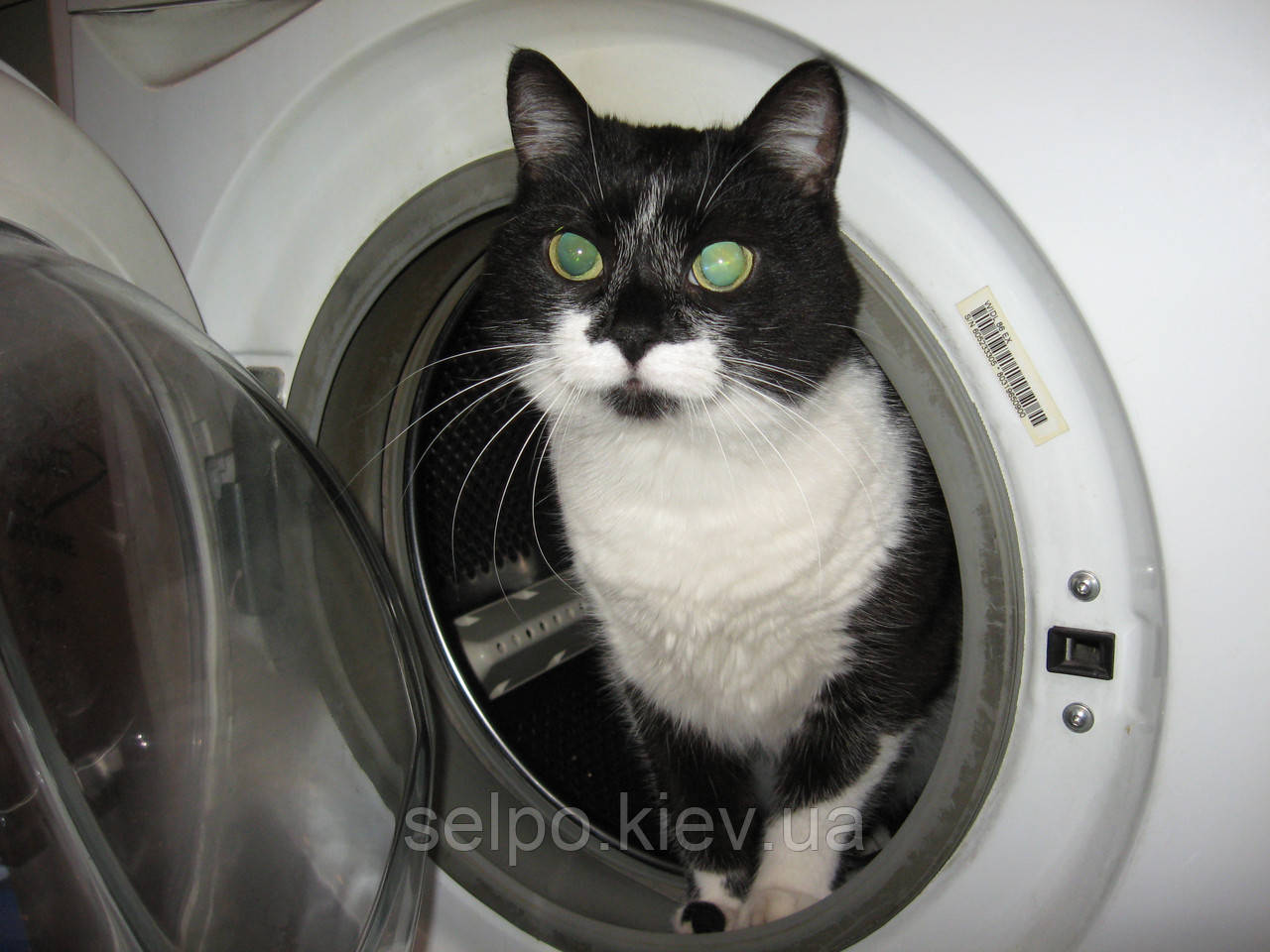 Ремонт пральних машин у Києві, фото 1