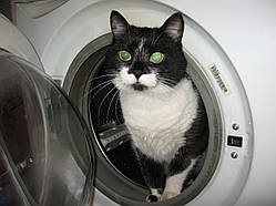 Ремонт пральних машин у Києві