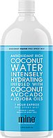 Лосьйон для миттевої засмаги Coconut Water Pro Spray Mist MineTan