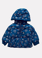 Демисезонная куртка с капюшоном Chicco, Синий, 12м - 18м, 80см