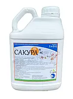 Фунгіцид Сакура, КС каптан, 370 г/л + тебуконазол, 15 г/л + рослинна олія,5 л каністра