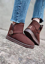 36 р UGG Coffee Уги коричневі короткі з фігурним верхом декорований ремінцем жіночі, фото 5
