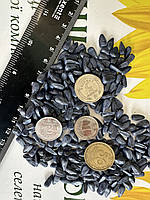 Насіння соняшнику Суліко Сумо. Соняшник під гранстар Суліко 45ц/га. Гібрид Суліко. Економ. ТМ "Лист", фото 4