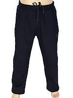 Теплые мужские спортивные штаны Dekons 1828 SB Lacivert