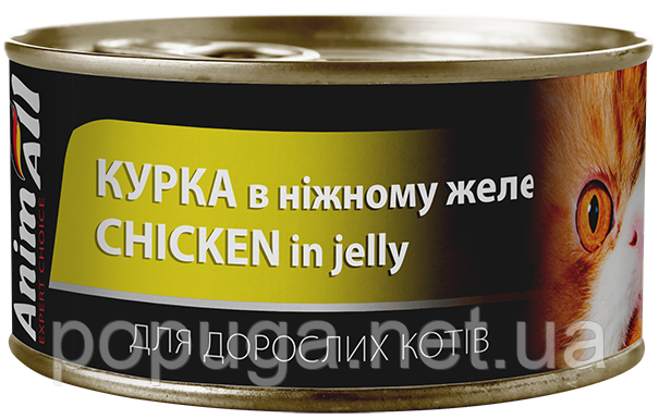AnimAll Chicken in jelly вологий корм для котів КУРКА в желе