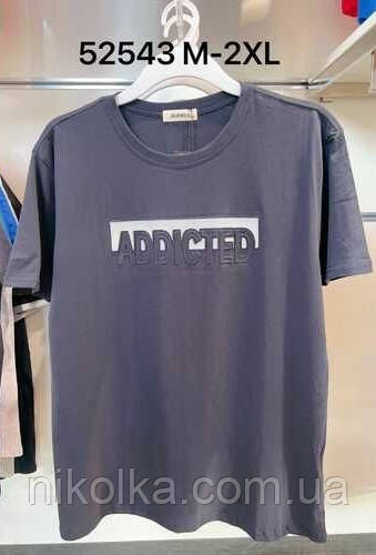 Футболки чоловічі оптом, M-2XL рр., арт. Si-52543