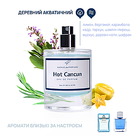 Мужские духи Hot Cancun (Man Eau Fraiche,Blue Seduction)  AVENUE des PARFUMS парфюм ALL 27