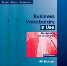 Business Vocabulary in Use