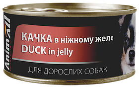 AnimAll Duck in jelly вологий корм для собак КАЧКА в желе, 85г