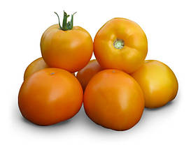 Насіння Томат детермінантний Нуксі (KS 17) F1, 1000 насінин Kitano Seeds, фото 4